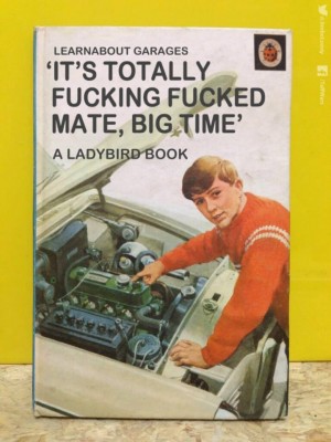 Ladybird book.jpg